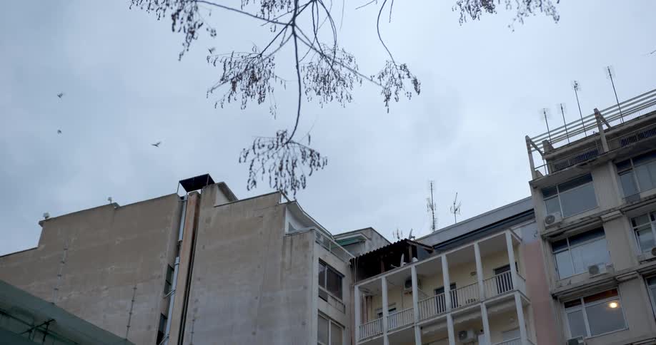Birds flying over an apartment building