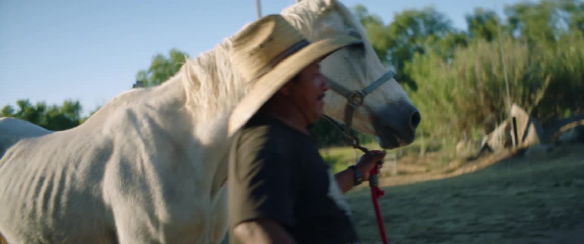 A man in a straw hat leads a white horse through a field on a sunny day