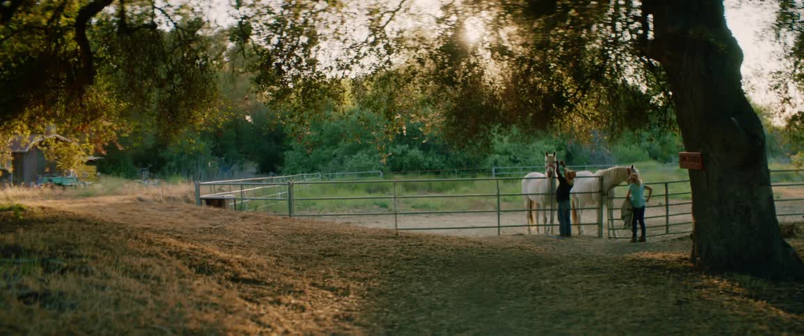 A man and woman tend to their horses from the other side of a metal fence on a ranch