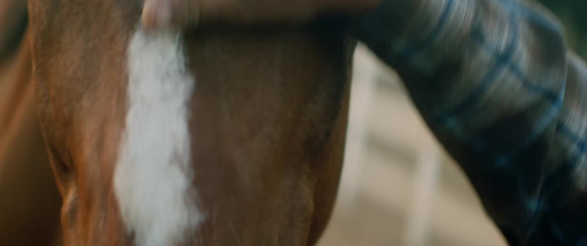 A man pets a horse on the opposite side of fence