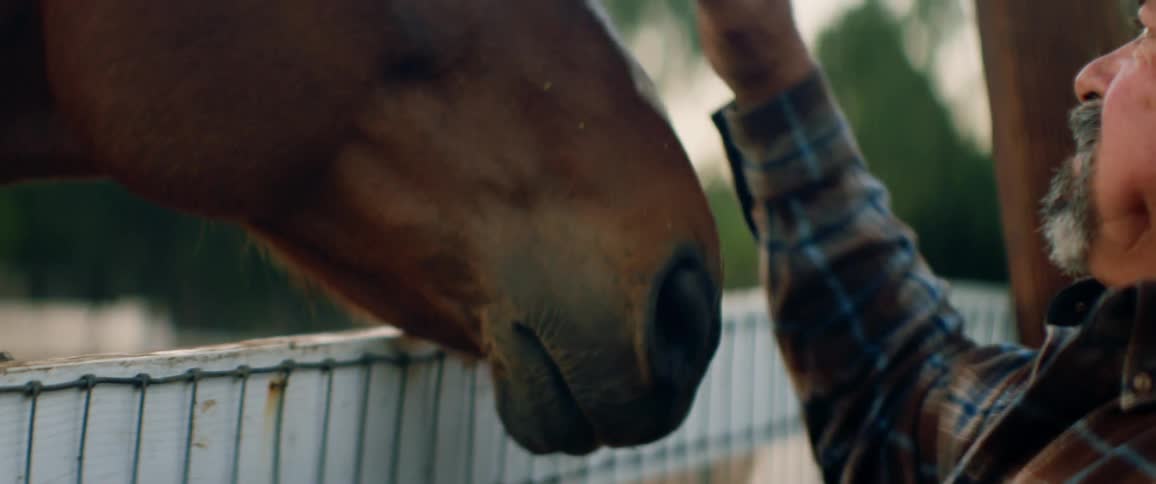 Man wearing plaid shirt pets horse sticking its head over fence