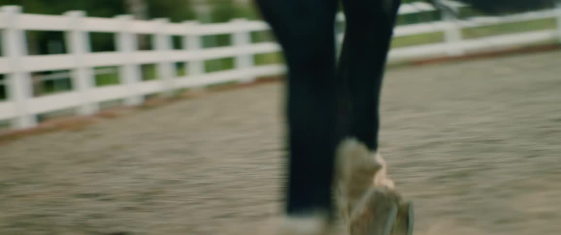 A horse prancing in a corral