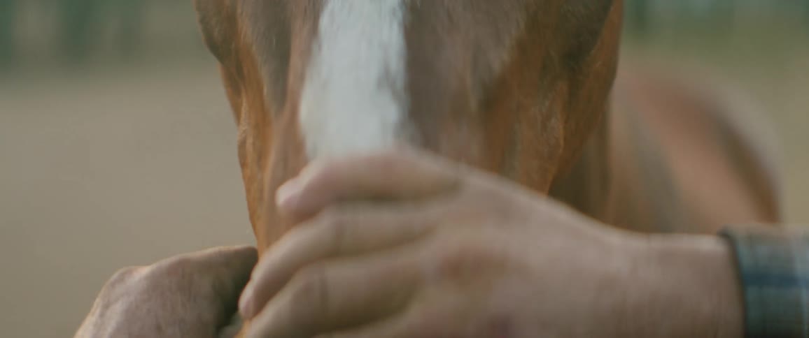 A man is petting a horse at a farm
