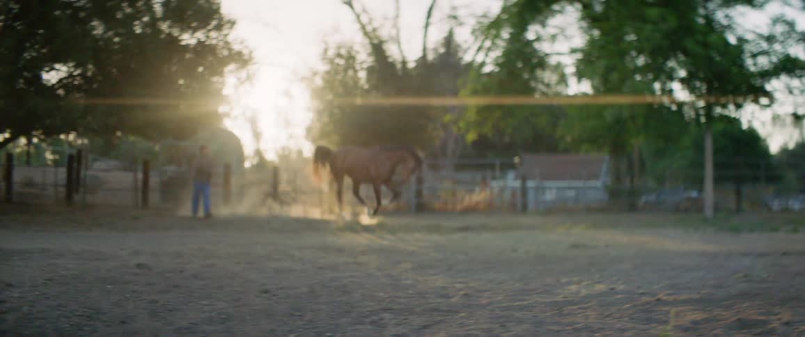 A person walking up to a horse and the horse running away with trees and the sky in the background