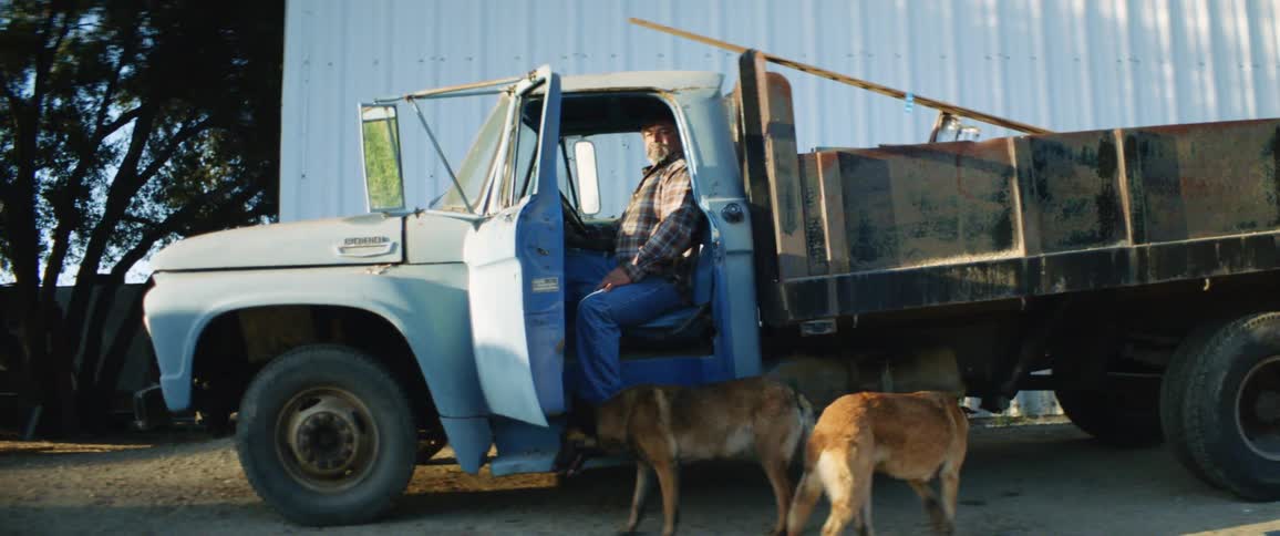 A man sits in his old truck on a rural property with dogs walking around the open truck door
