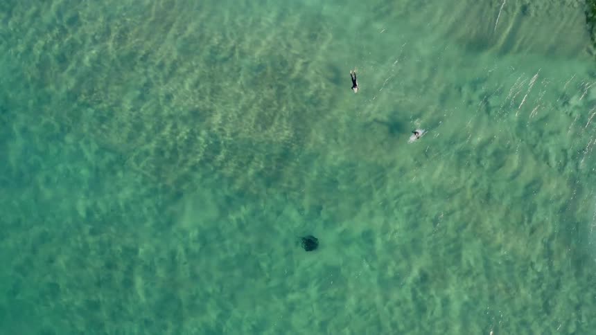 Two surfers paddles on their boards as the wave sweep beneath them