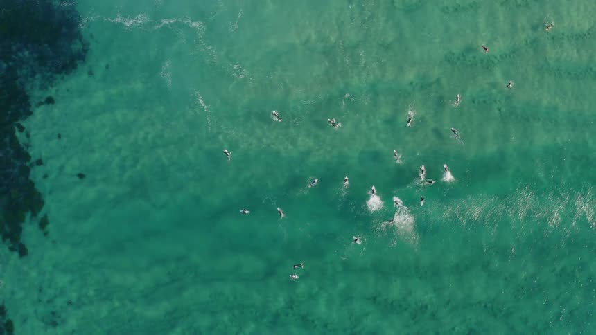 A large group of people are surfing in the water