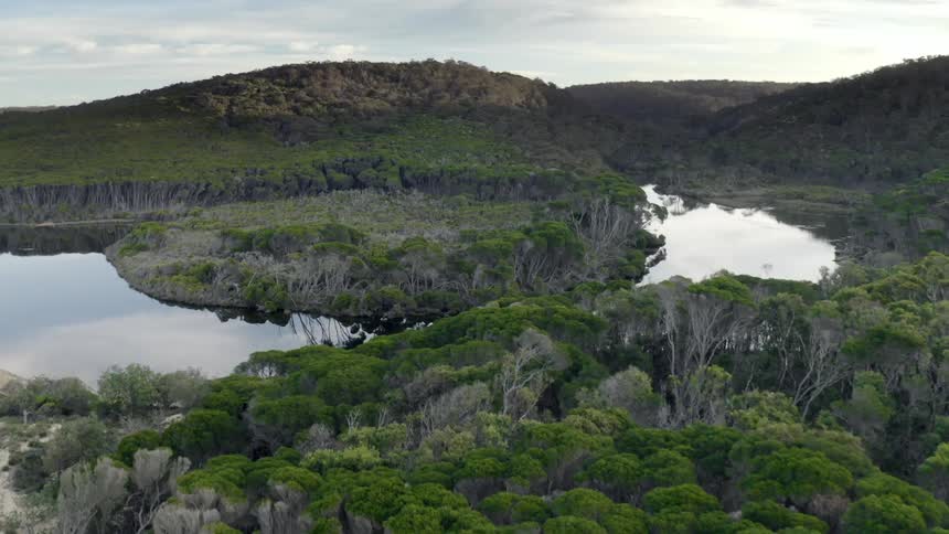 An aerial view of a river and trees on the bank
