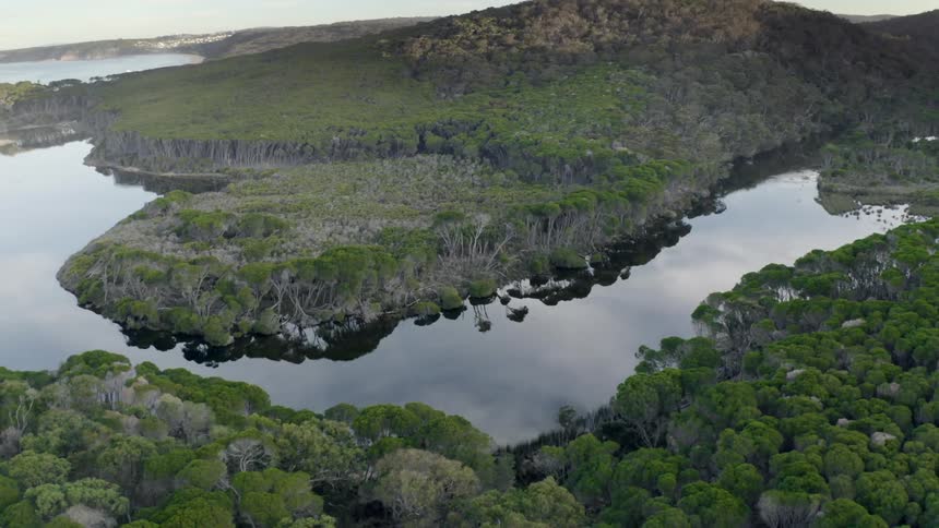 A river through a thick forest separated from the ocean by a sandy river delta