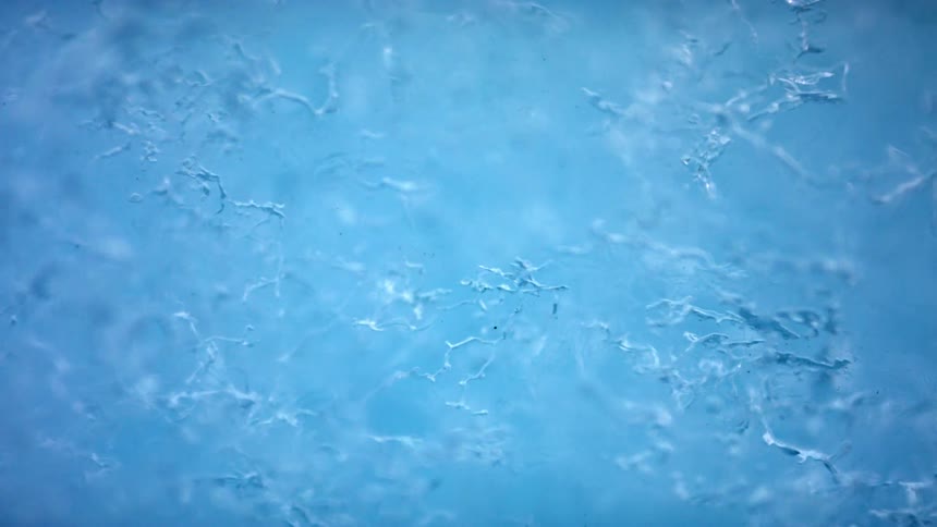 Thin branches twisted and curved in a blue ice