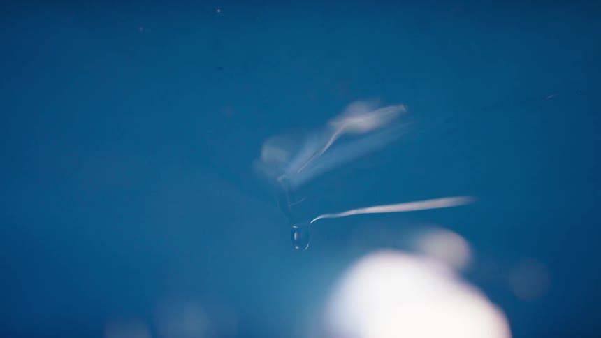 A droplet of water falls off an icicle