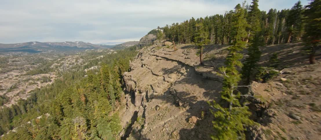 Trees are covering the mountain range