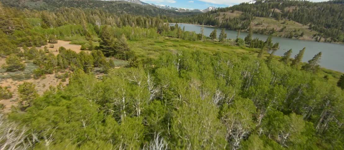 A forest next to a lake with a mountain range the sky and clouds in the background