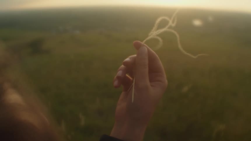 A person holding a plant in their hand as it blows in the wind with a grassy field and the sky in the background