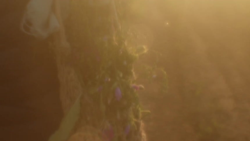 A woman walks with flowers in a bag