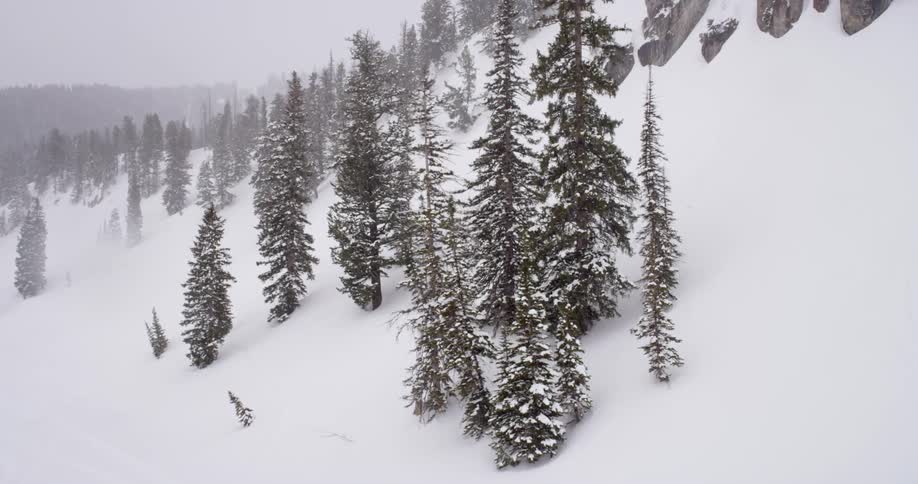 Aerial view of a hillside covered in trees and snow on a snowy day
