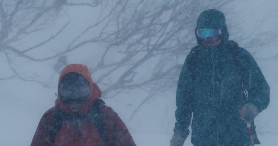 Two people are skiing during a winter storm