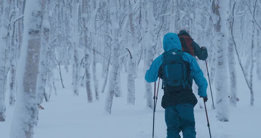 Two people trekking through a snowy forest