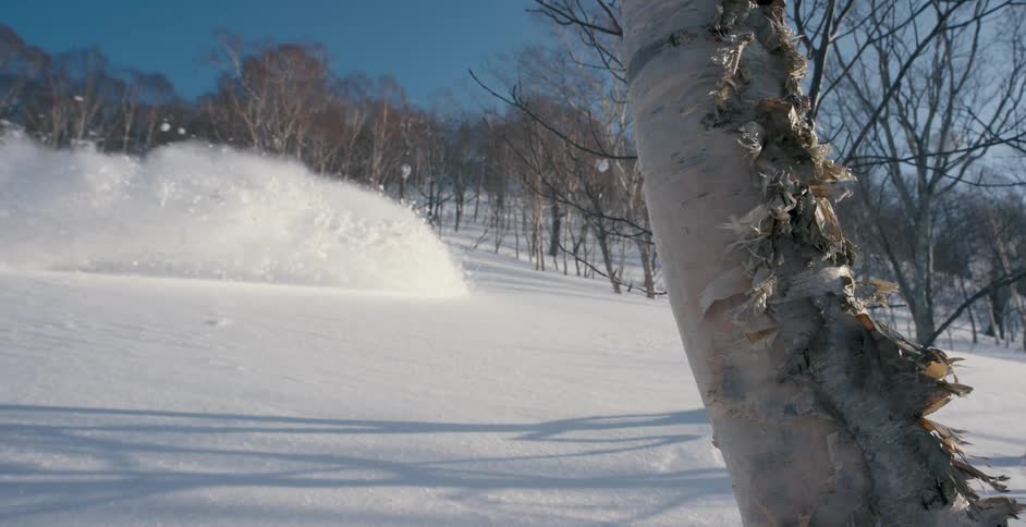 A person is skiing outdoors in the daytime