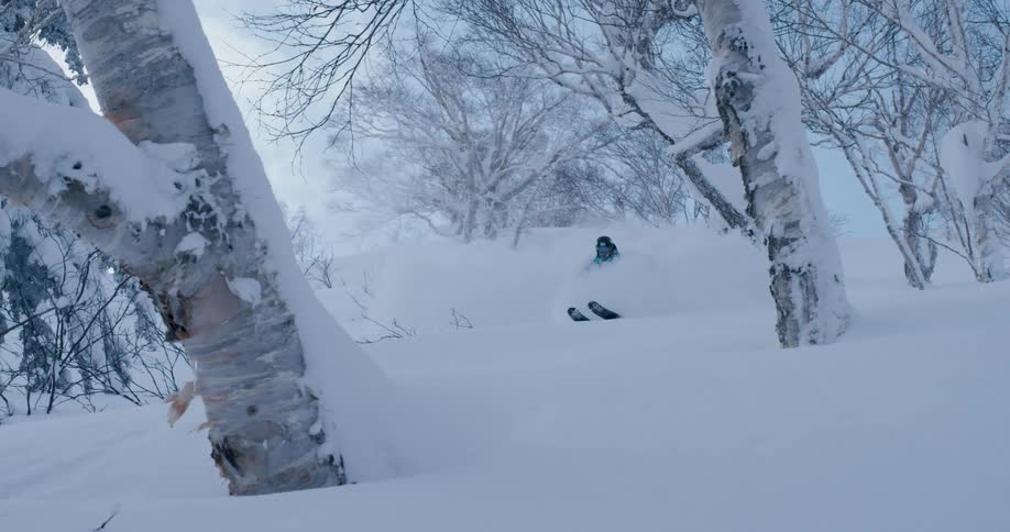 A skier jumps and turns in the air before snaking through trees