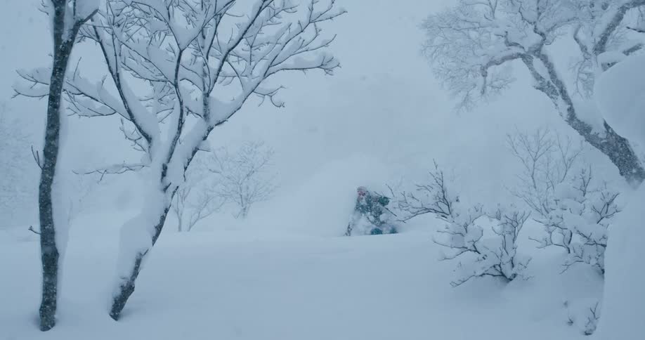 A skier skiing while it snows near trees