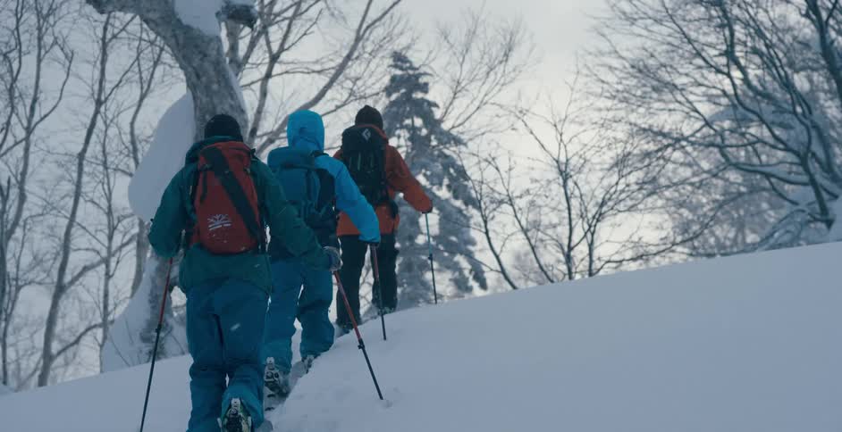 Group of skiers in winter gear walk on a trail over a hill through the forest at winter