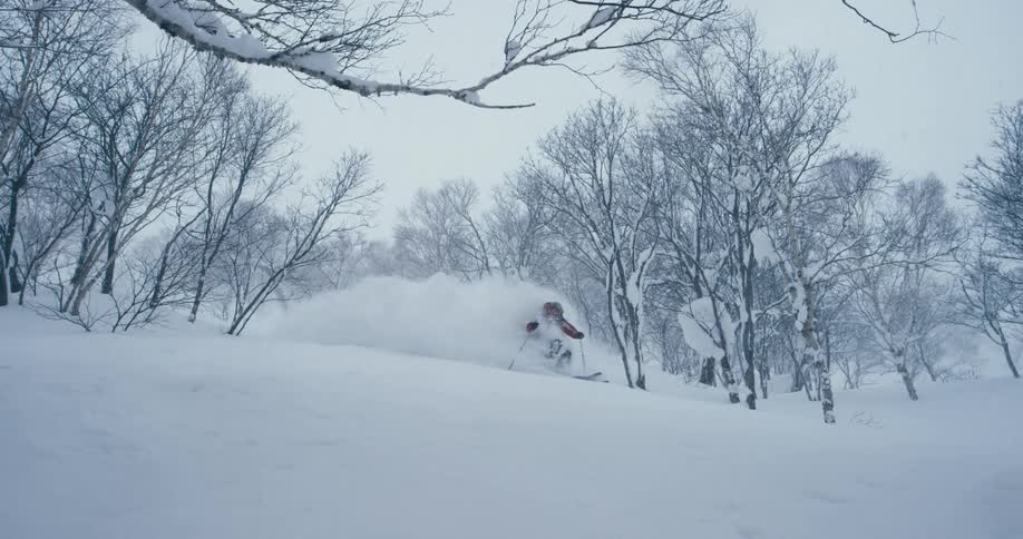 Person skis down slope between trees in snow