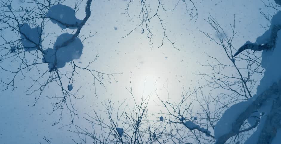 Snow flakes fall from the sky