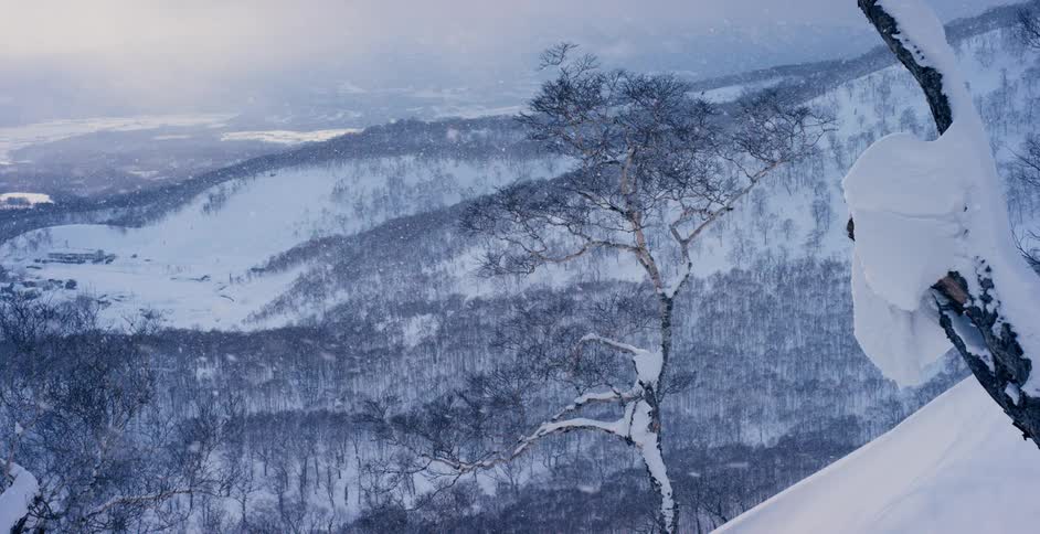 Snow crusted trees stand on slope overlooking forest and other mountains as snow falls