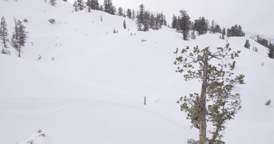 Snow covered mountain and trees