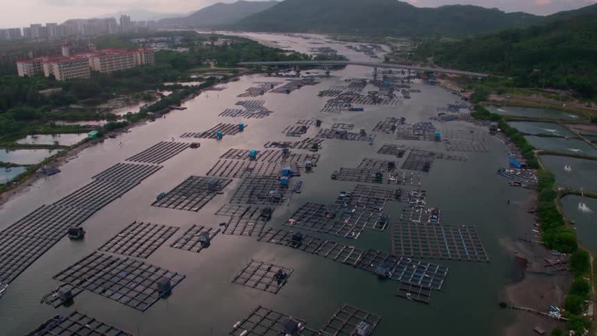 A river crammed with fish farms on the outskirts of a city in the evening