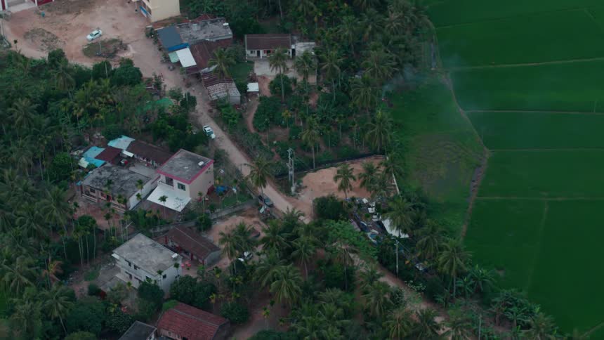 A small town is surrounded by palm trees