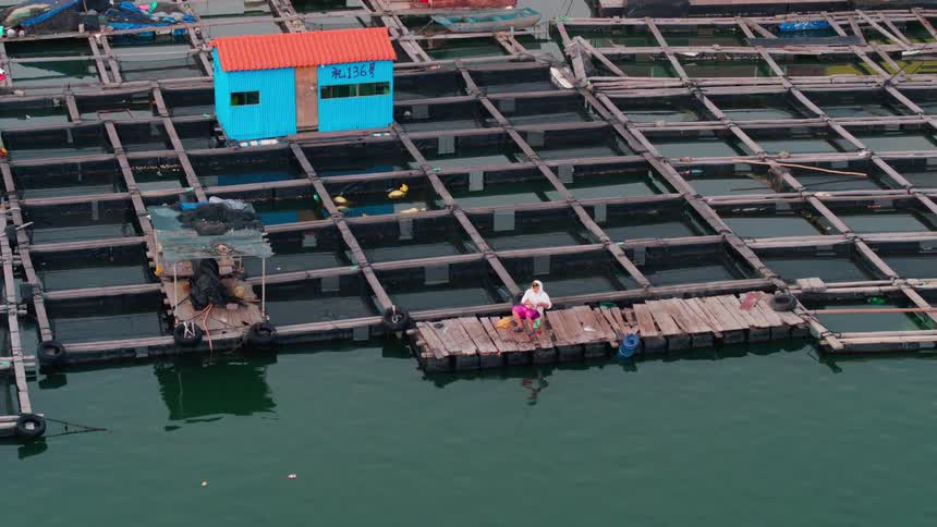 A Chinese fisherman sitting on the dock of a fish farm