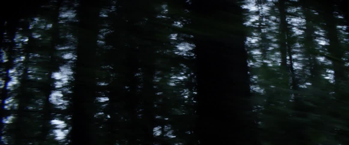 Vehicle drives on a highway through a dark forest