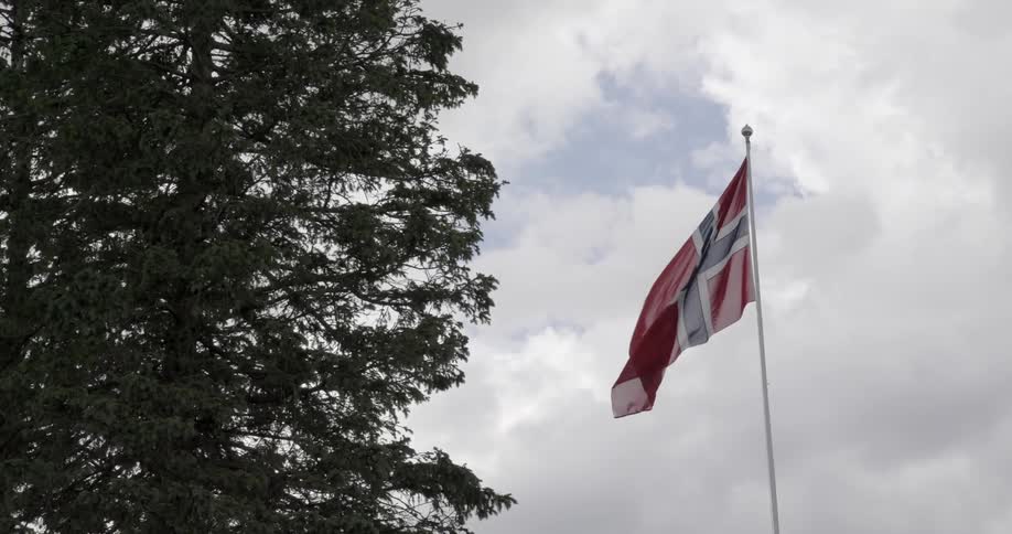 A flag is blowing in a cloudy sky