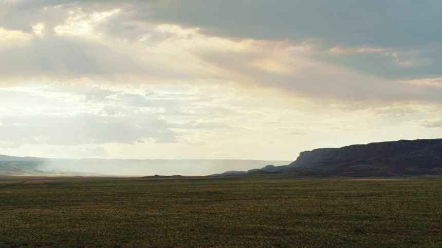 A vast shrubland on a sunny day