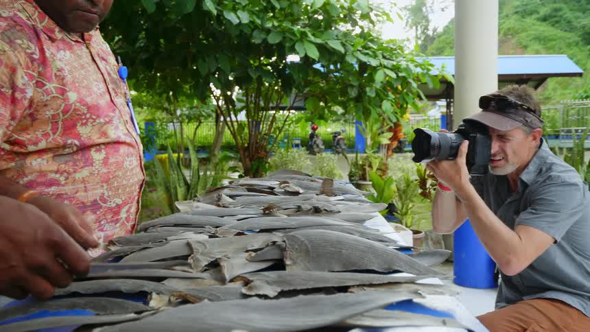 A man is photographing shark fins displayed