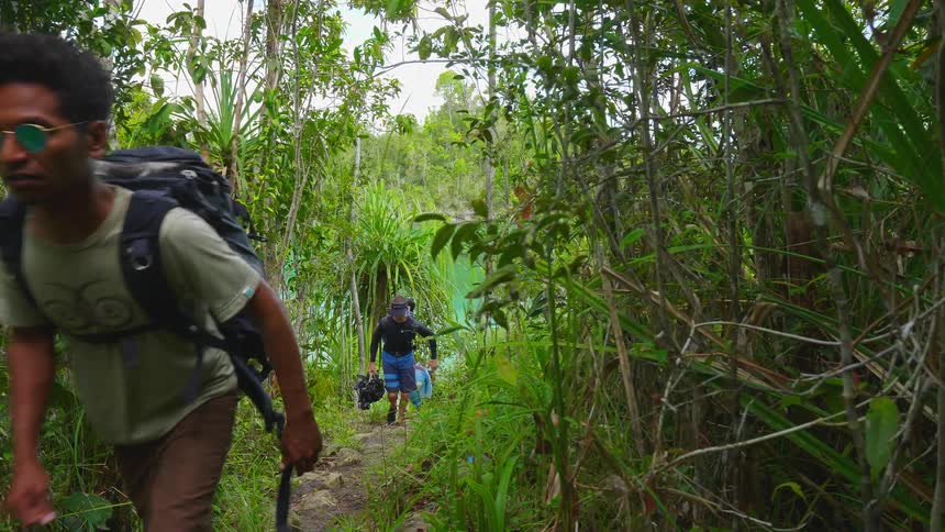A group of men are hiking through the jungle