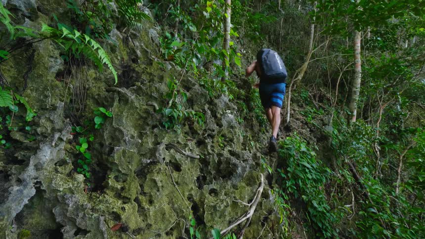 A man is hiking up a cliff in the forest