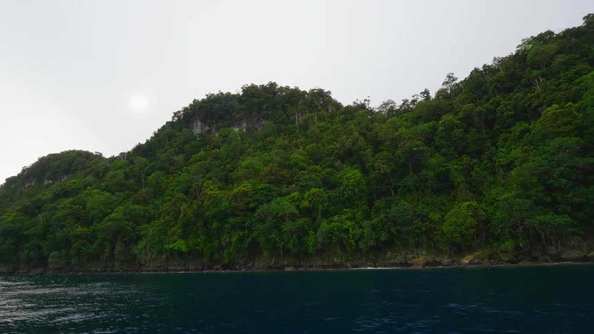 Trees are surrounding the lake in spring