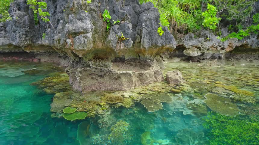 Tropical setting with water and rock face with green foliage