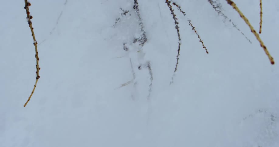 A person is going fast down the slope on skis