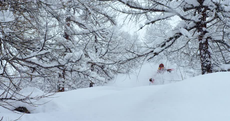 Skier sprays snow into air while skiing through snow crusted leafless trees