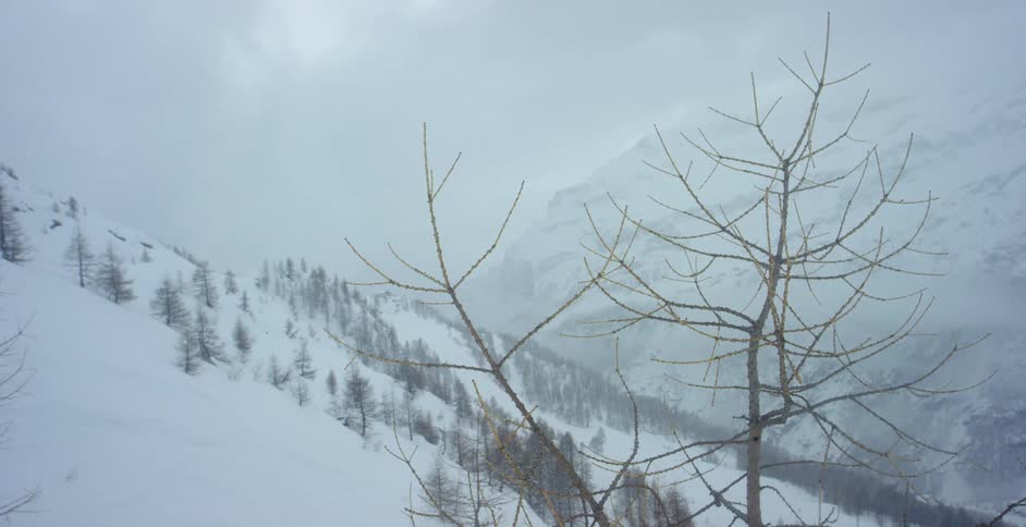 Snow falling in mountains on a cloudy winter day