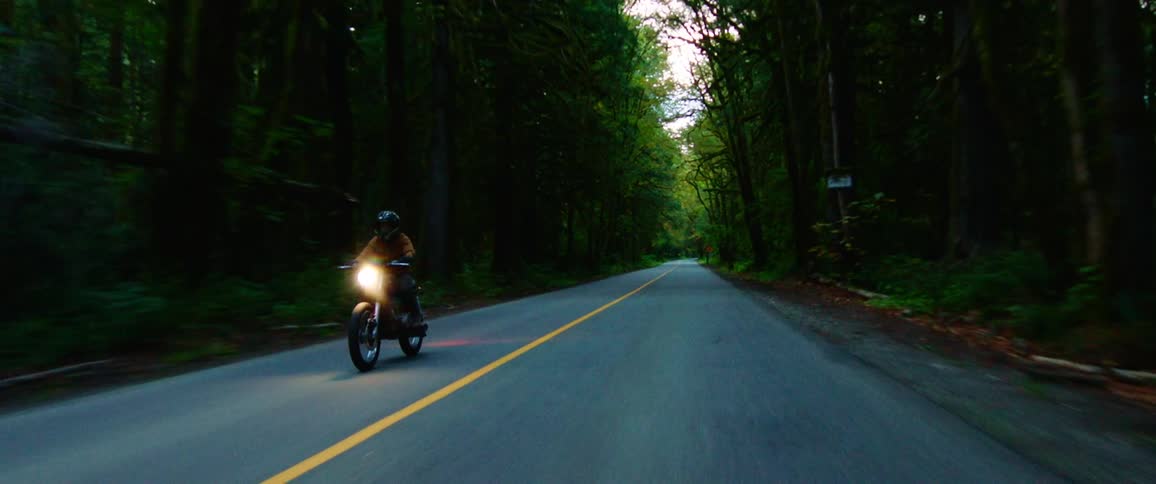 A motorcyclist rides down a rural road surrounded by trees