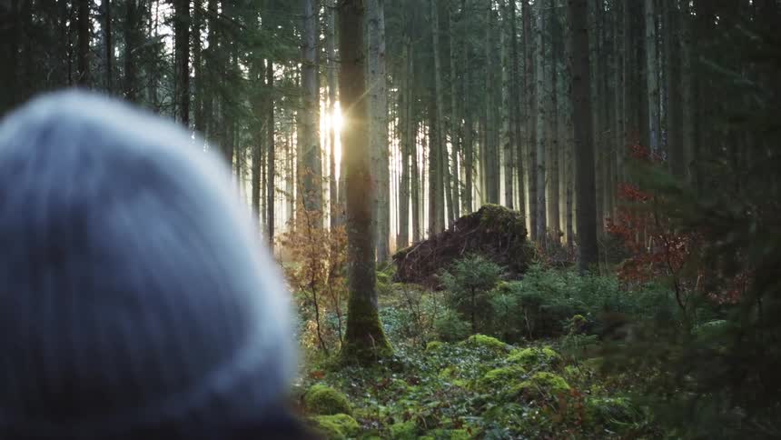 A woman is walking through a forest in spring