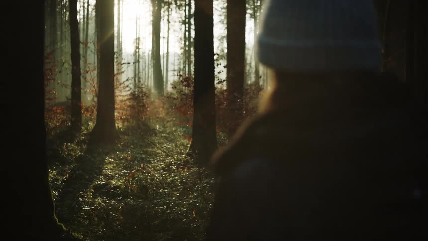 A woman stands in a dense forest while the sun sits low in the sky