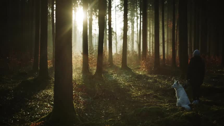 A woman with a dog standing in the forest with trees the sky and clouds in the background