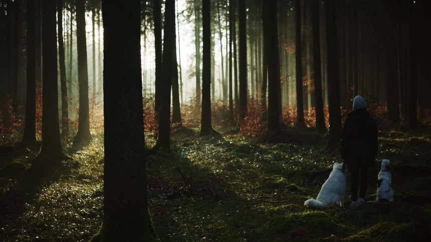 A woman stands in a forest with two dogs sitting next to her
