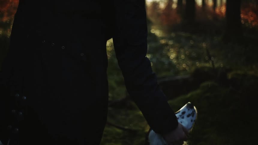 A woman is petting her dog outdoors at dusk
